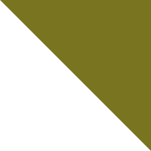 Corner Green Triangle